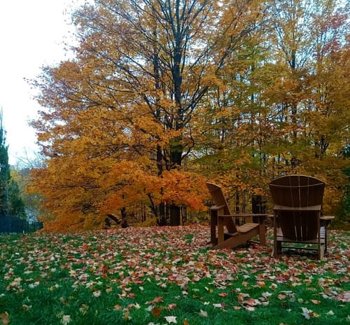 Pan Pacific Toronto, General view