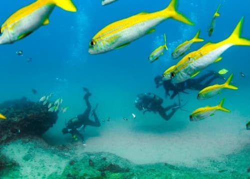 DEVOCEAN Lodge, General view