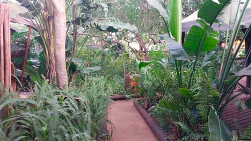 DEVOCEAN Lodge, General view