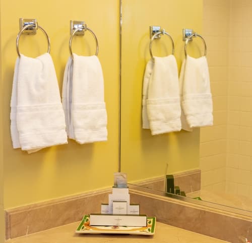 Barcelo Guatemala City, Room