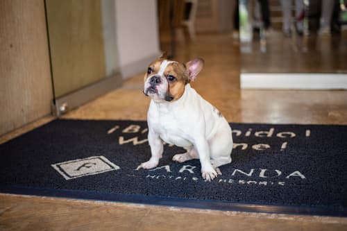 Faranda Express Belvedere, Lobby