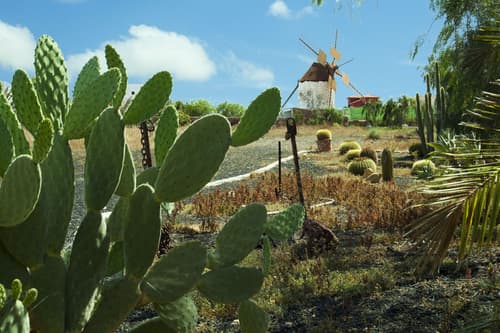 Era de la Corte, General view