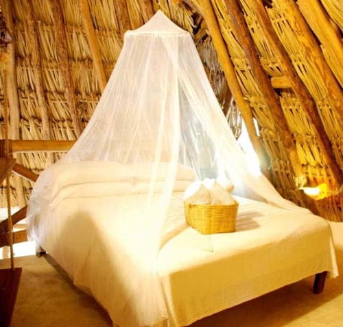 Casa Las Tortugas, Room