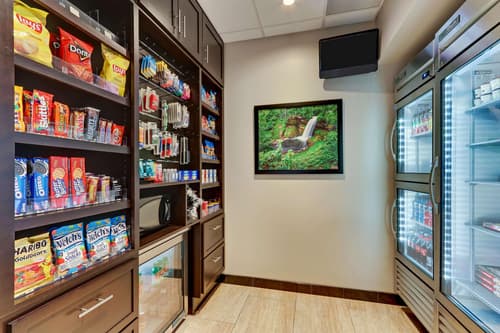 Drury Plaza Hotel St. Paul Downtown, General view