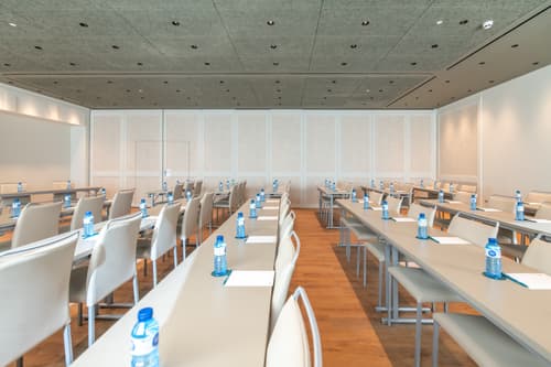 VP SOGNIO Metropolitano, Conferences