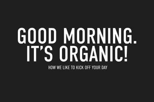 Hotel SP34, General view