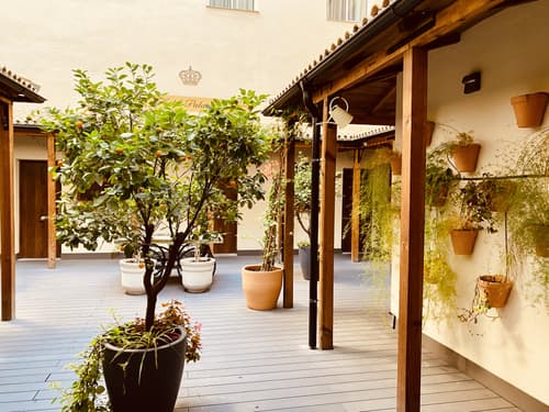 Palace Sevilla, General view