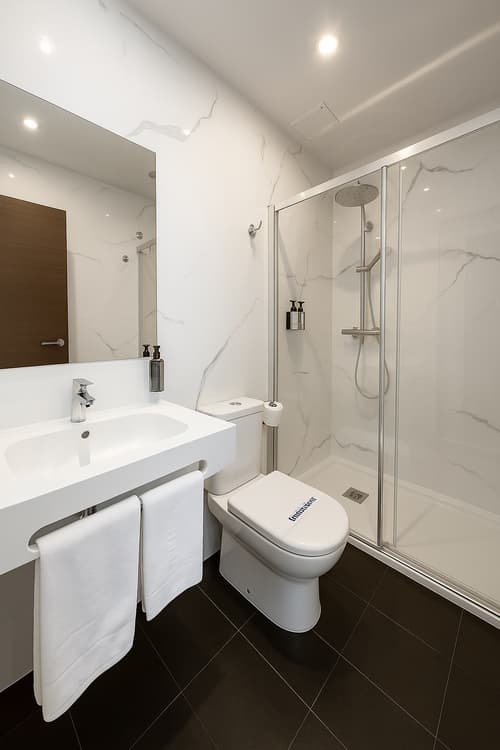 Palace Sevilla, General view