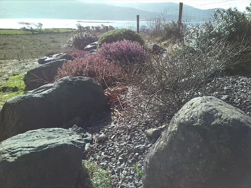 Currane Lodge, General view