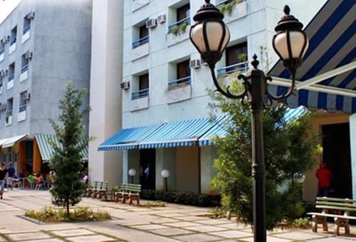 Tulipan, General view