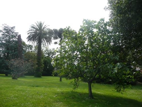 Hotel Escuela Las Carolinas, General view