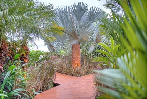 Hotel Casa Chameleon Mal Pais - Adults Only, Lobby