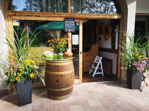 Ribno Alpine Hotel, General view
