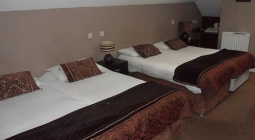 The Earl Hotel Leeson Street, Sonder, General view