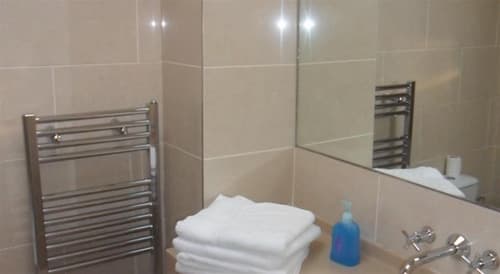 The Earl Hotel Leeson Street, Sonder, General view