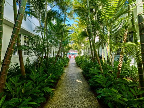 AxelBeach Miami-Adults Only, General view