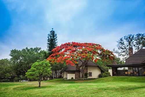 Sabi River Sun, General view
