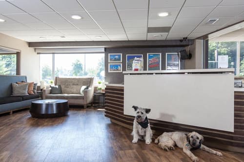 Carlton Inn Midway, General view