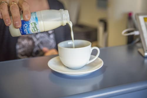 AAA Thames Court Motel, Sports and Entertainment