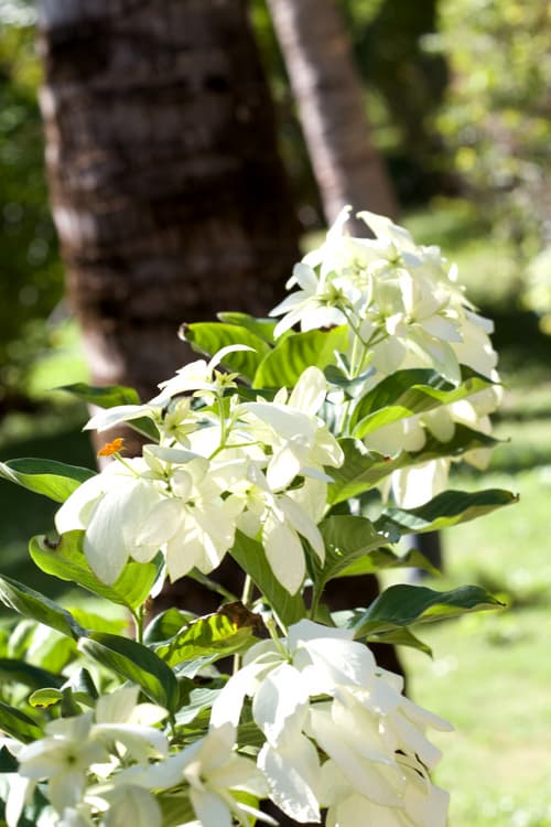 Pousada Imperio do Sol, General view