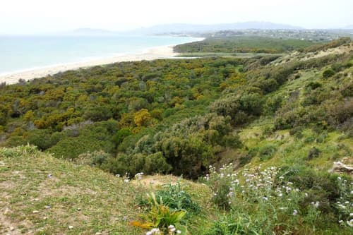 Dei Pini, General view