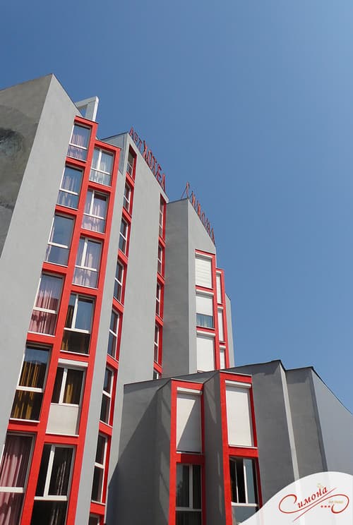Simona Art Hotel, General view
