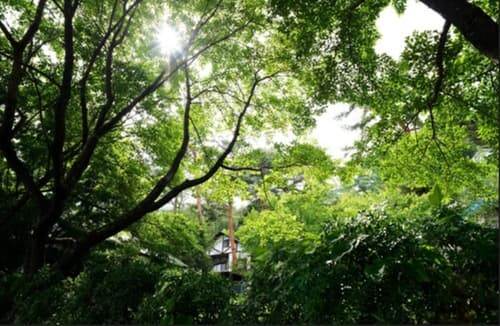 Kawaguchiko Country Cottage Ban, General view