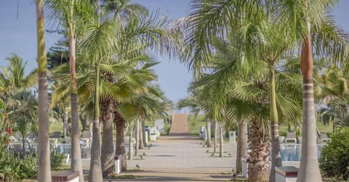 Melia Internacional, General view