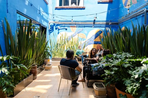 Selina Mexico City, Terrace