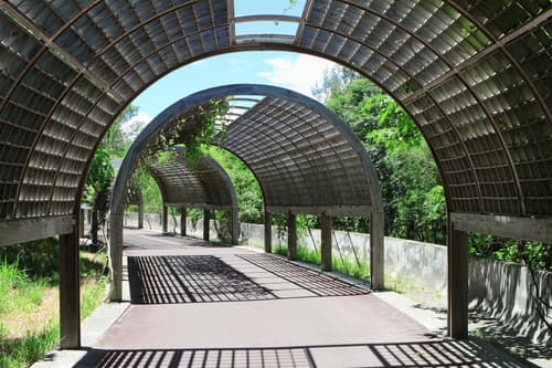 Blue Ocean Stars , General view