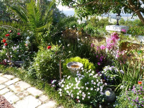 Candlewood Lodge - Bed & Breakfast, General view