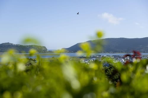 Candlewood Lodge - Bed & Breakfast, General view