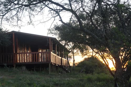 Pure Nature Familodge, General view