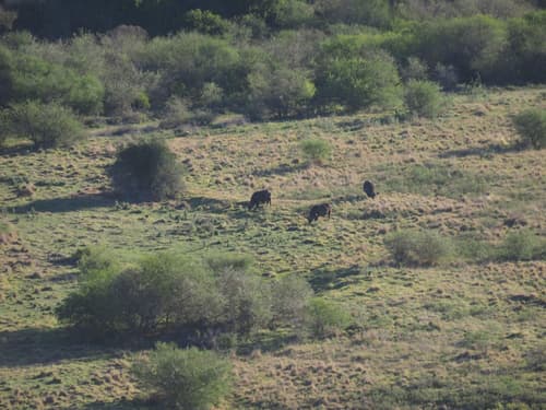 Pure Nature Familodge, Room