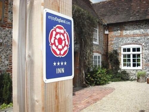 The Fox Goes Free, General view