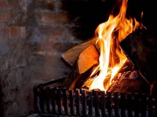 The Fox Goes Free, General view