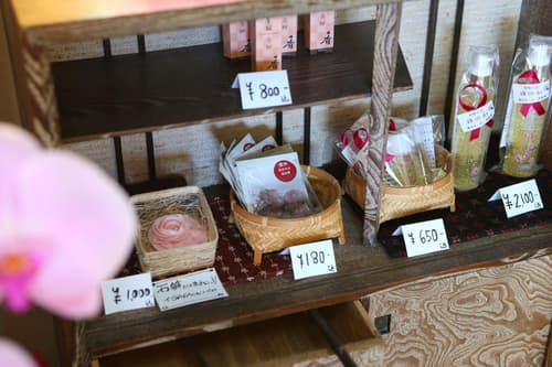 Kamei No Yu, General view