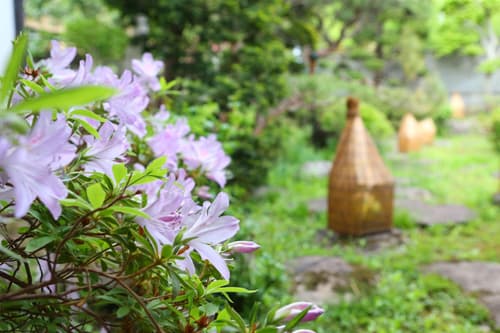 Kamei No Yu, General view