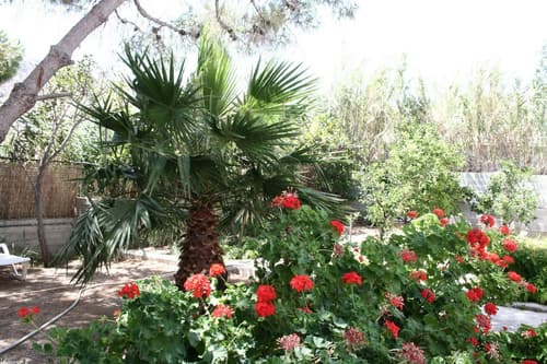 Cyclades Hotel Serifos, General view