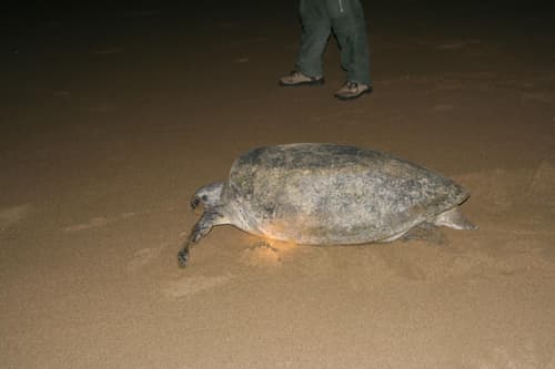 Rumah Kita, General view