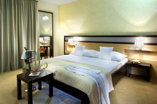 Hotel Dubna Skala, Room