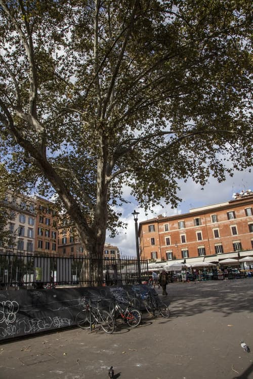 L'Imperiale, General view