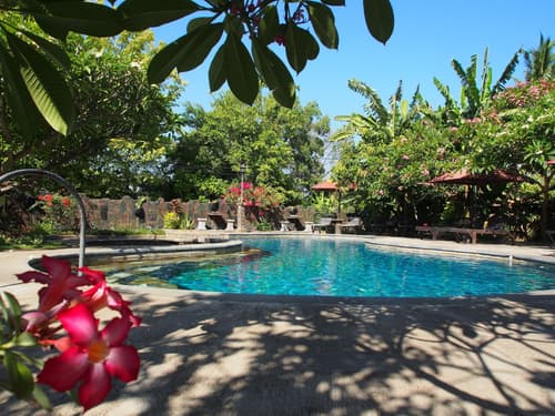 Rini Hotel, General view