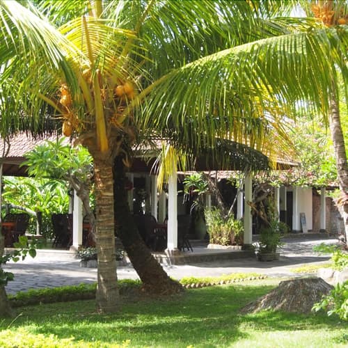 Rini Hotel, General view