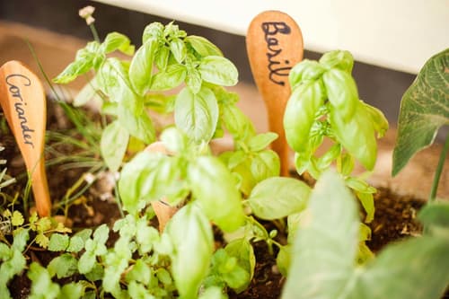 The  Secret  Garden  Hotel  Moshi, General view