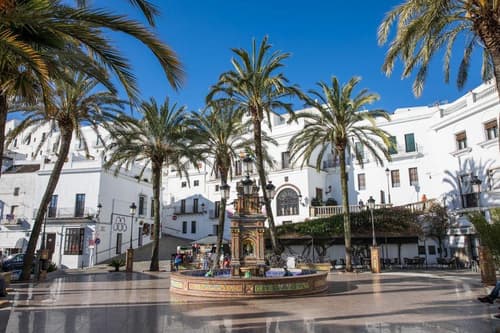 Las Palmeras Del Califa, General view