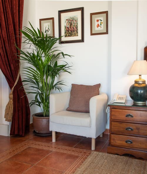 Las Palmeras Del Califa, Room