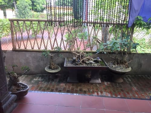 Tam Coc Hung Anh Homestay – Hostel, General view