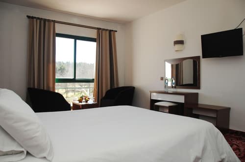 Le Chamonix, General view