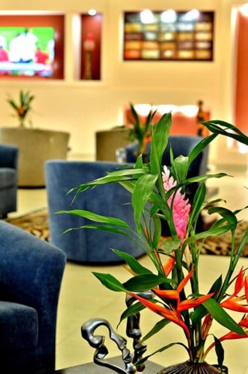 The Cape Hotel, Lobby